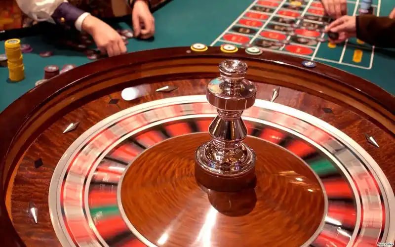d8bet giới thiệu nền tảng